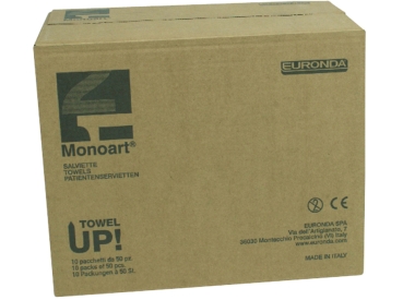 Monoart Pat.Serv. 33x45 cedro 500St